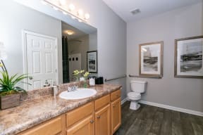 Bathroom With Vanity Lights at Villas at Hampton, Hampton, GA, 30228