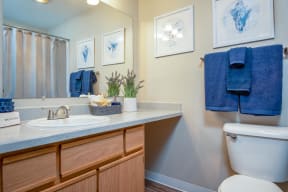 Kings Meadow Apartments | Troutdale, OR | Second Bathroom