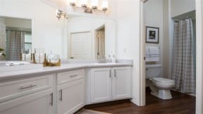 Village at Main Street | Bathroom with Ample Vanity and Large Mirror