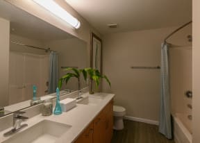 the enclave at homecoming terra vista bathroom