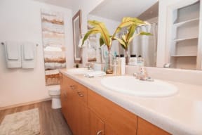 Apartments for Rent West Valley Phoenix - West Town Court Apartments - Bathroom with Quartz Countertops and Ample Storage Space