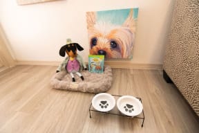 Pet Friendly