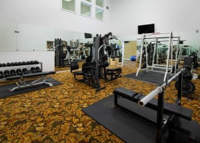Gym at Belmont Ridge Apartments, Monroeville, PA