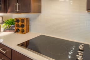 Dishwasher at The Heights at Woodland Park Apartments, The Barvin Group, Texas, 77009
