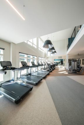 Professional Fitness Center at Parc at White Rock Luxury Apartments in Dallas TX