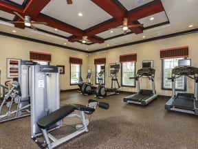Professional Fitness Center at The Amalfi Clearwater Luxury Apartments in Clearwater, FL
