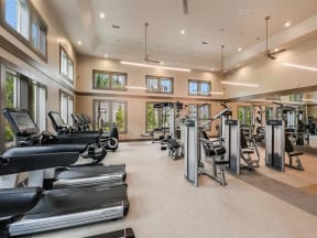 Professional Fitness Center at The Morgan Luxury Apartments in Orlando, FL
