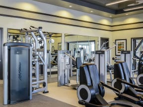 Fitness Center at at The Epic at Gateway Luxury Apartments in St. Pete, FL