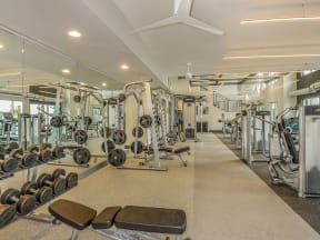 Fitness Center at Grady Square Luxury Apartments in Tampa FL