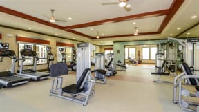 Professional Fitness Center at The Sedona Luxury Apartments in Tampa FL