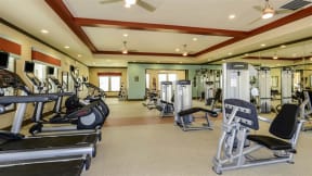 Professional Fitness Center at The Sedona Luxury Apartments in Tampa FL