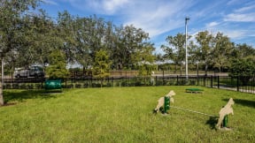 Fenced Pet Park at Epic at Gateway Luxury Apartments in St. Petersburg, FL
