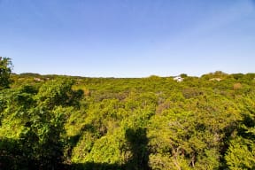 Beautiful Hill Country Views | Channings Mark