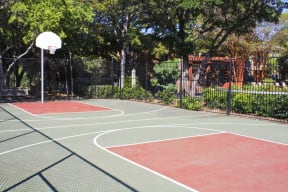 Basketball court | Northland at the Arboretum