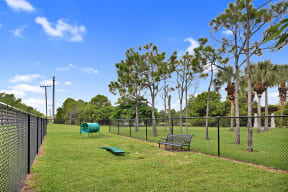 Dog Park | Floresta