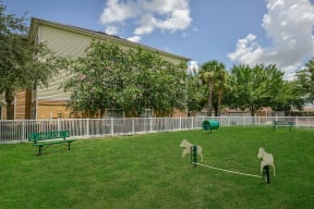 Dog park  | Grandeville on Saxon
