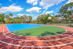 Sport court | Floresta