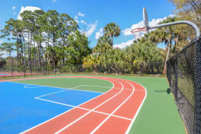 Basketball court | Floresta