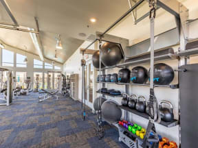 free weights and medicine balls in fitness center