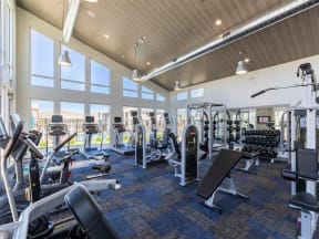 cardio and weight equipment in fitness center