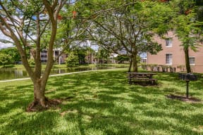 Outdoor grill and picnic area | Promenade at Reflection Lakes | Fort Myers apartments