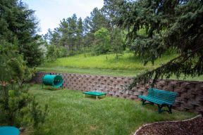 Outdoor Dog Lawn with Dog Playground and Stone Wall