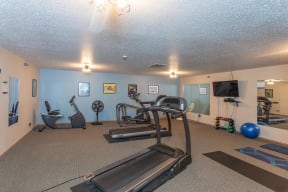 Fitness Center with Cardio Machines and TV