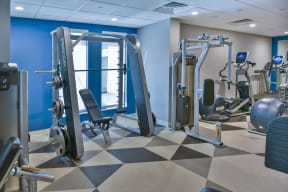 Sleek fitness center equipped with a variety of free weights and machines.