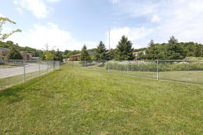 Photo of large green space at the dog park.