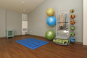 Yoga Room with Medicine Balls, Matts and Hardwood Floor