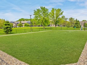 Green Grass in Dog Park
