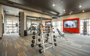 Barbell rack and strength machines in fitness center