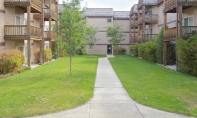 Rocky Meadows Apartments Interior Courtyard with Sidewalk and Trees