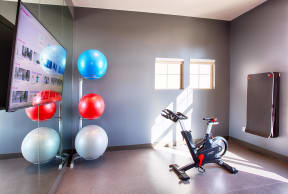 Yoga Studio with Mirror Wall, Stationary Bike and Large TV