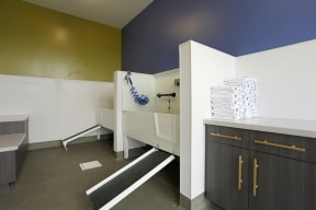 Sleek community dog wash and grooming station with ramps up to the sinks for your pet.