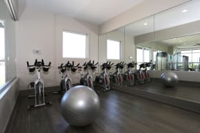 Indoor yoga and spin studio with two large windows and a full mirrored wall.