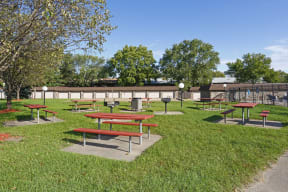 Outdoor picnic area with picnic tables and grills on concrete platforms