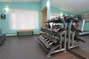 Fitness Center with Dumbbell Rack
