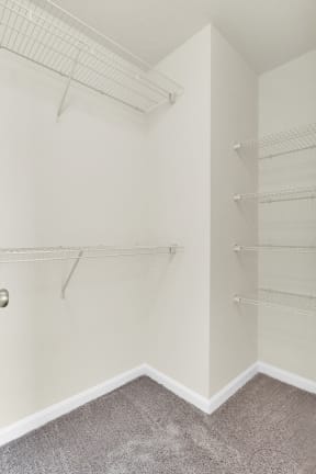 bedroom walk in closet with grey carpet and wire storage