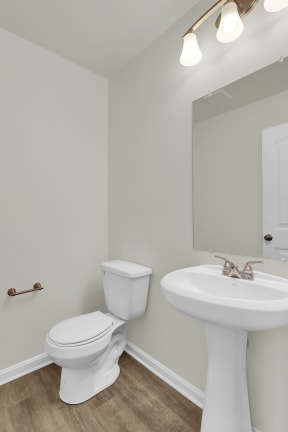 bathroom with hardwood floors and ceramic toilet and sink