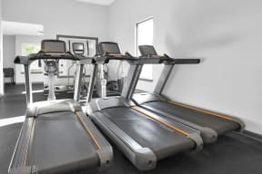 a row of treadmills in a gym