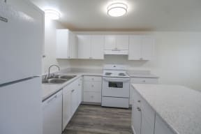 Range Stovetop