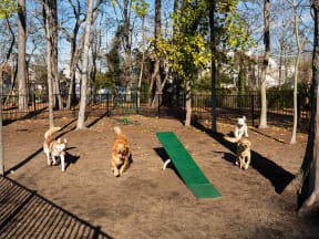 Dog Park at Solace Apartments in Virginia Beach  23464