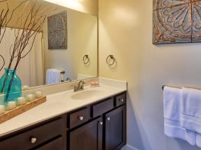 Baths with Espresso Cabinets at Solace Apartments