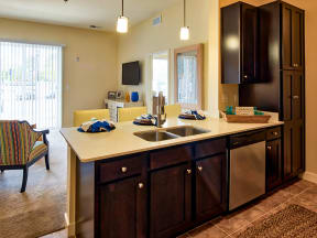 Apartment Kitchen at Solace in Virginia Beach 23464