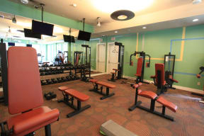 24 Hour Fitness Studio