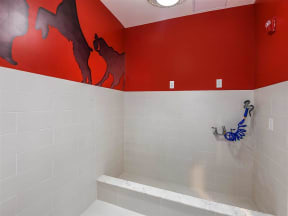 Convenient pet washing center for Coda Orlando apartment residents' pets' well-begin in Orlando