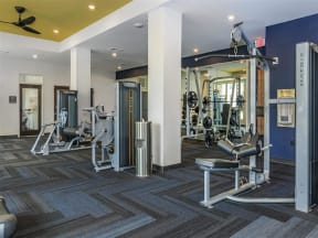Berewick Pointe Fitness Center With Modern Equipment in North Carolina Rental Homes