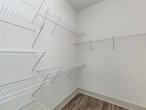 Berewick Pointe Walk-In Closets With Built-In Shelving in Charlotte, North Carolina Apartments