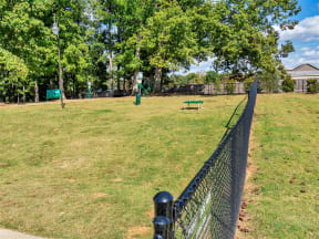 Gated dog park with grass, many trees, a tall lamp, pet waste stations, and dog agility equipment
